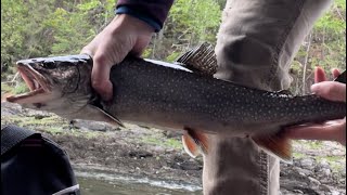 Jam packed June: fishing every day video 2