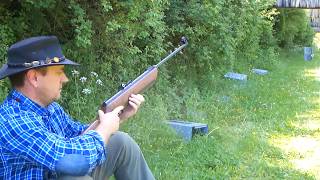 Luftgewehr Browning Airstar 200 - Plinking at 25 m