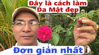 Đây là cách làm Da Mặt đẹp Đơn giản nhất. PHAN HẢI Vlog