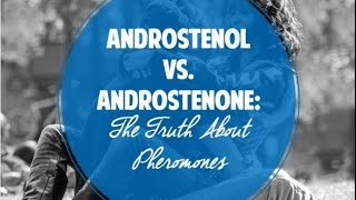 Androstenol vs Androstenone: The Truth About Pheromones