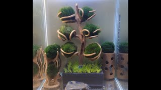 MARIMO TREE moss ball - 3D printer - My best idea for shrimp / fish tank / Strom z řasokoule - DIY