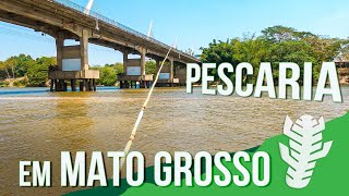 Pescando no Mato Grosso - Mais um Dia na Estrada