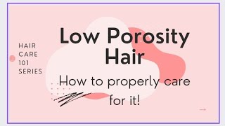 What Products Can I Use For Low Porosity Hair? | Hair Care 101 Series