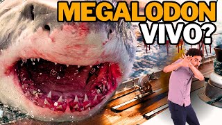 Megalodon Vivo na Fossa das Marianas!