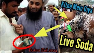 Behas K Bad Kitne Mein Final Diya|Live Soda|Bakra Eid 2024|Shahpur Kanjra Mandi #shahpurkanjramandi