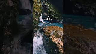 لگتا ہے ساری کائنات شیر خدا کی جاگیر ہے 💯✌#islamicstatus #youtubeshorts #viralvideo #islamicvideo #s