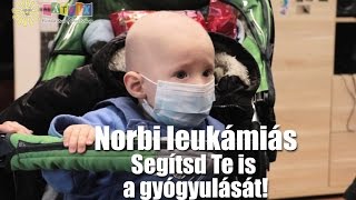 Norbi leukémiás, segítsük együtt az életét