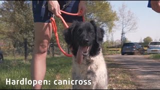 Sfeervideo hardlopen met je hond