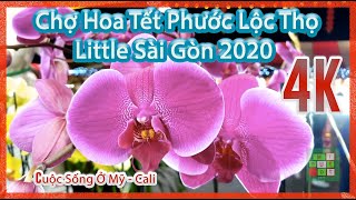 🌸 Chợ Hoa Tết (Chợ Đêm) Phước Lộc Thọ 2020 (Lunar New Year 2020) 🌸 - Tập #273 🌸