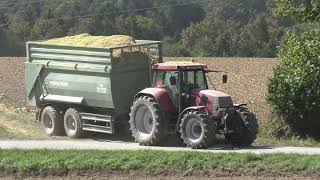 Die Raubkatze zurück im Mais   Claas Jaguar 97O mit Claas Orbis 750 beim Maishäckseln eine Fahrt von