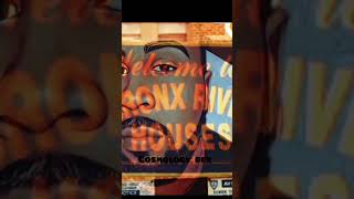 The rise of virality. Behind da bar . bronx river.  Ten toes down meet (Snippet) $COSMOLOGYBEY9