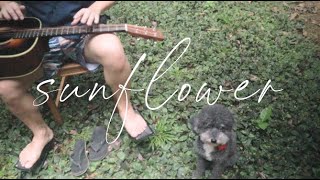 Lap Tapping Example (w/ Acoustic Guitar) | sunflower