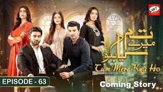 Tum Mere Kya Ho Episode 63 Review | #TumMereKyaHoEp63  |Adnan Raza Mir - Ameema Saleem | What & How