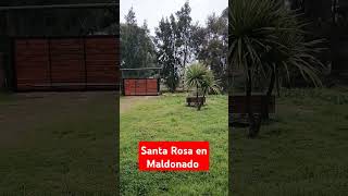 LLEGO SANTA ROSA A URUGUAY #uruguay #clima   #maldonado #hogar #familia