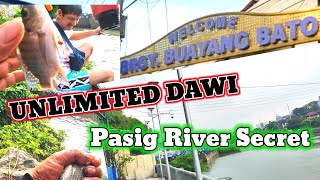 UNLIMITED DAWI, PASIG RIVER SECRET