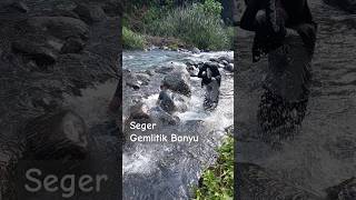 Seger Kumkum di sungai #kali #renang #fyp