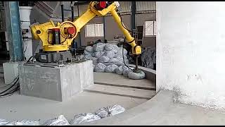 Mahajan Automation Robotic Bag picking