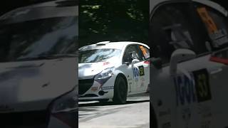 WRC Rally 2019 || Crash and Mistakes 10#shorts