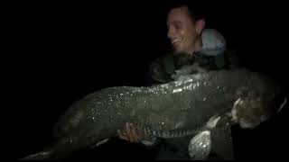 CORVINA NEGRA DE 25 KILOS EN LAVALLE !!!