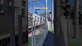 Japan Train #train #trainvideo #sotetsu #trainstation #shortvideo