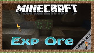 Exp Ore Mod 1.18.1/1.16.5/1.12.2 & Tutorial Downloading And Installing For Minecraft