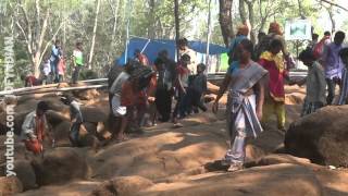 2016-Malayattoor_Adivaaram to Onnaamstalam_Pilgrimage Part1