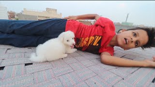 Piyush ko kaat diya 😱😱| Puppy ke saath masti 😊