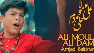 ALI MAULA ALI MAULA DAM DAM ||AMJAD BALTISTANI || official video || GHADEER 2021 #shortvideo