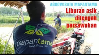 SAWAH DISULAP JADI TAMAN WISATA | AGROWISATA MAPANTAMA TENGGARONG - KUTAI KARTANEGARA - KALTIM