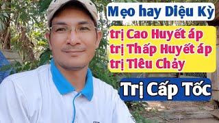 Mẹo hay trị Cao Huyết áp, Thấp Huyết áp, Tiêu chảy Cấp Tốc. PHAN HẢI