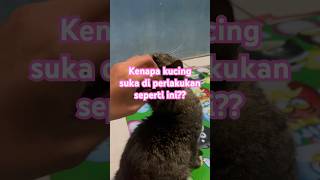 Kenapa kucing anteng di perlakukan seperti ini?? #cat #catlover #kucing #kucinglucu #kucingkampung