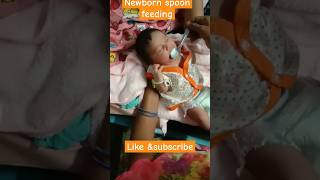 Cute Hungry newborn baby feeding milk by spoon#cute baby #shortsfeed