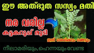 നരമാറാനും മുടി വളരാനും റിസൾട്ട്‌ ഞെട്ടണ്ട/hair care hair dye /poppy vlogs/ sreejinasl/malayalam