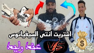 شريت نتوة سيفيانوس من عند وليد 🤩🔥💰 وهرب ليا فرخ سيفانوس ابيض 😪