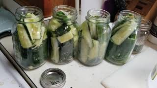 Homemade refrigerator dill pickles.