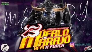 CD BÚFALO DO MARAJÓ🐃 AO VIVO EM MACAPÁ DJ DARLAN E DJ RAFAEL CASSIANO 2023🎶🎵⏯️🐃