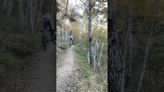 #bmxcrash #bike #mtb #mtbcrash #bmxfails #crash #mtbfail #дерт