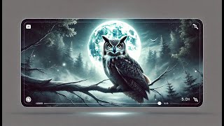 The Enigmatic Owl: Guardian of the Night and Nature’s Balance