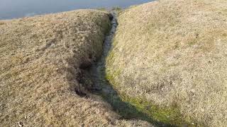 Pond on hole 15 seepage pt3 - Wanu