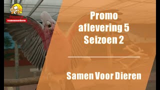 Promo aflevering 5, seizoen 2 Samen Voor Dieren