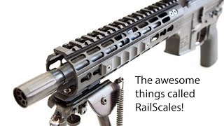 RailScales