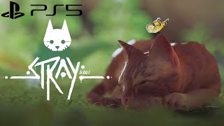 Stray PS5 Gameplay - Inside the Wall