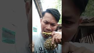 #shorts Makan buah nanas pake cabe rawit #trending #tiktok