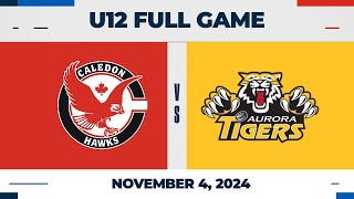 Caledon Hawks vs Aurora Tigers Gold | U12 - Nov 4 2024