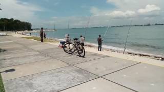 Singapore Beach Fishing Competition 2016 - Grouper Catch