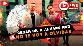 DJ LOW REACCIONA A ❌CESAR BK - ALVARO ROD, HOY TE VOY A OLVIDAR