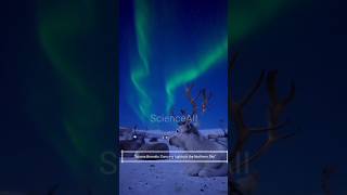 "Aurora Borealis: Dancing Lights in the Northern Sky"#shorts