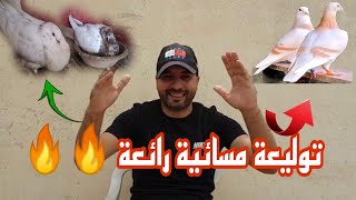 توليعة مسائية رائعة وكلام من القلب من خوكم محمد