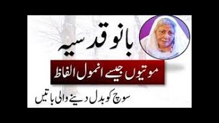 Bano Aapa urdu Quotes   Bano Qudsia Quotes |Amazing urdu By Alimahonline