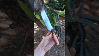 Faca artesanal, cabo em madeira de cedro rosa e imbuia #artesanal #bushcraft #knife #handmade